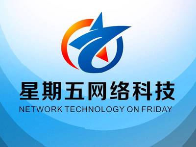 引領未來，共創數字新紀元——XX網絡科技開發公司簡介